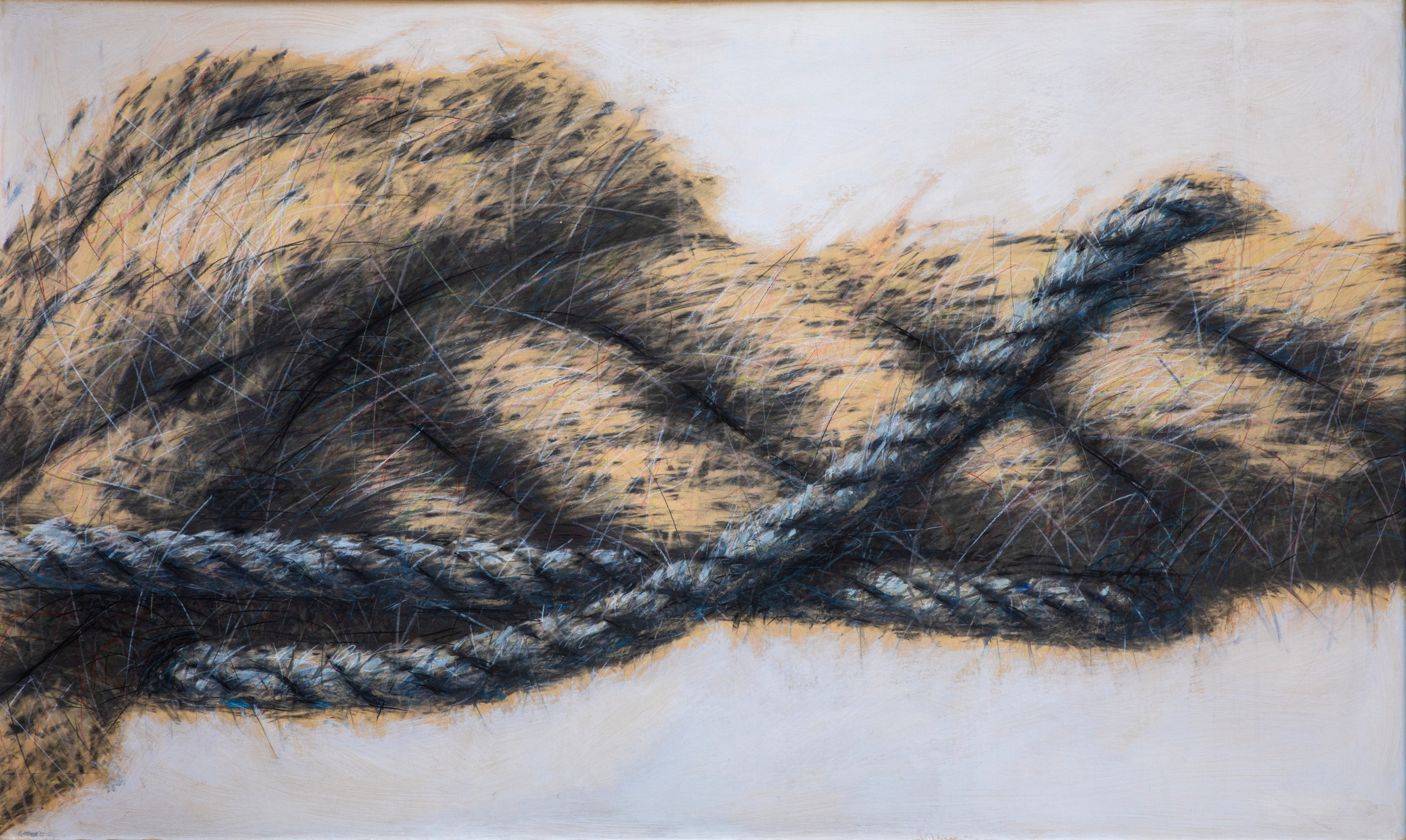 25_corda grande e corda azzurra