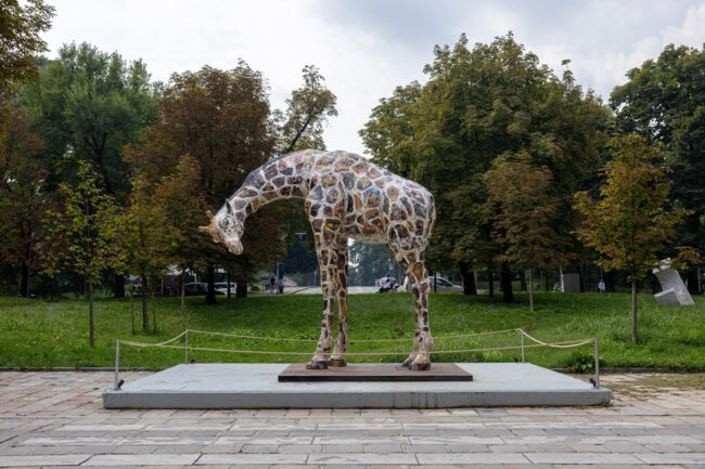 3. Giraffa_Allegrucci_foto Carola Di Clemente – GDI STUDIO