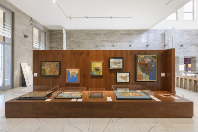MUCIV-Museo delle Civiltà, Animali, Vegetali, Rocce e Minerali-le Collezioni ISPRA _ Un museo multispecie, veduta dell’allestimento. Foto di Giorgio Benni_1