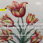 Il fascino dei tulipani: la “tulipomania” protagonista al Museo Nazionale Romano