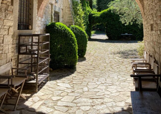 todi