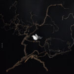 The Path to Paradise: quando il Rinascimento incontra il presente