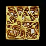 “Still Life” al Museo Civico di Zoologia di Roma: tra arte e scienza la natura è morta?