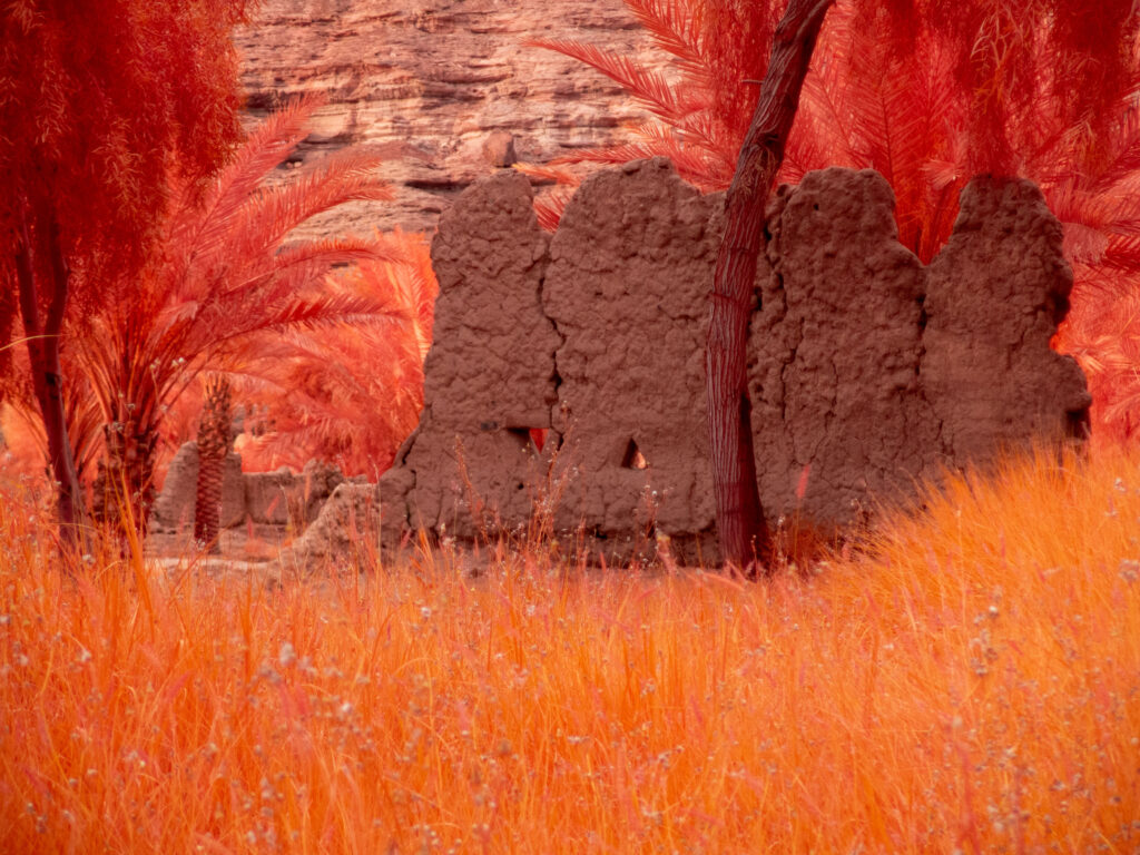 Arduna, il giardino nel deserto: nella saudita AlUla gli artisti raccontano la natura