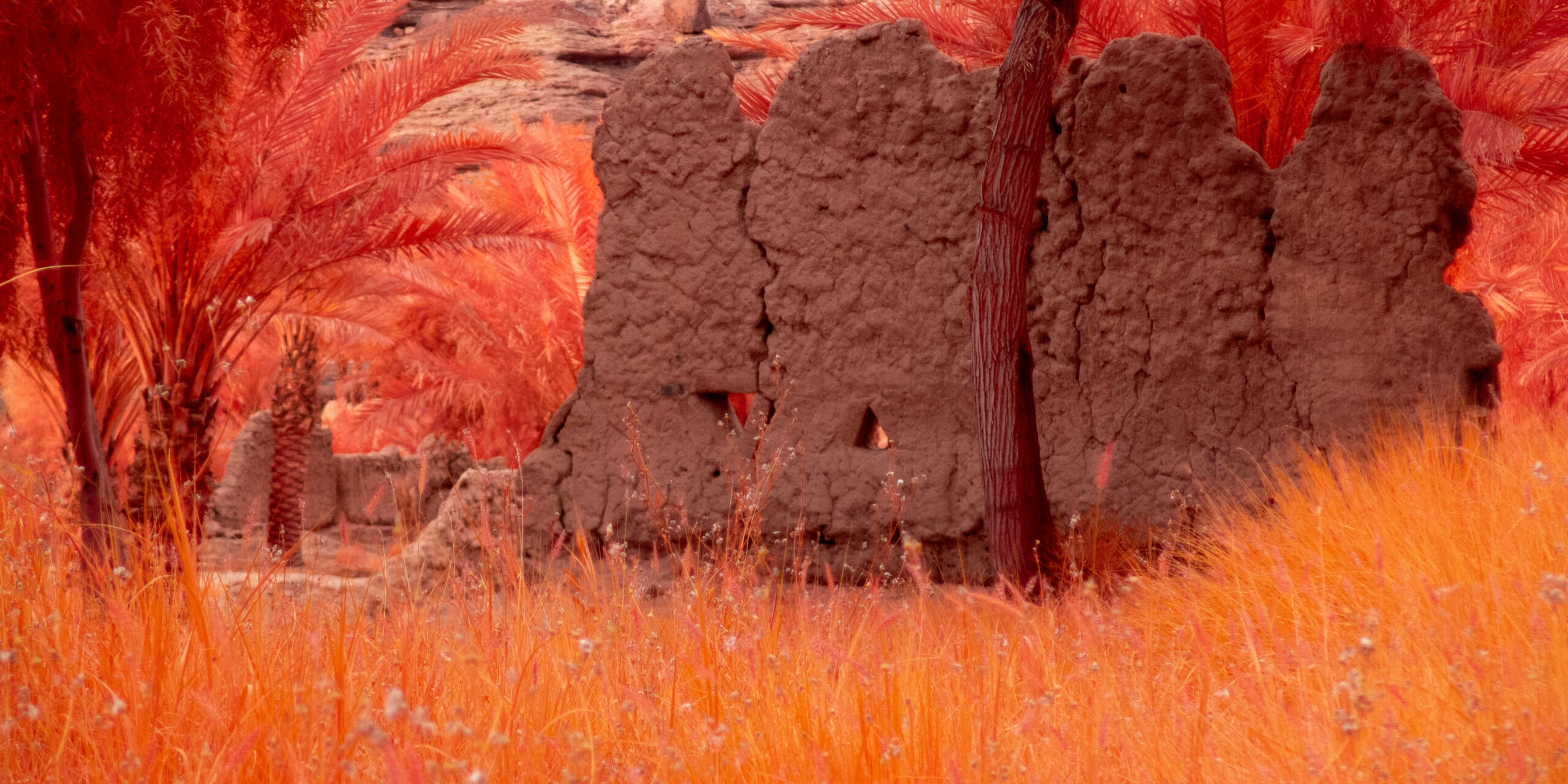 The Holy Wadi, Ayman Zedani, Arduna, 2025 (3)