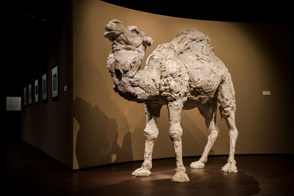 Arte in movimento tra Italia e Arabia Saudita: Mimmo Paladino e Davide Rivalta a Diriyah con “Echoes of Movement”
