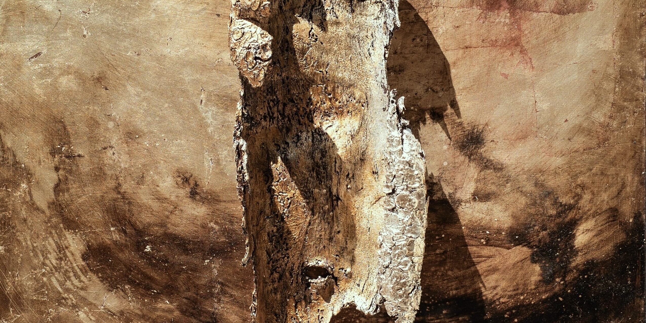 Silvia Canton, Venere, 2024, 100x100x12cm, foglia simil argento e bitume su tela e cortecce, courtesy of the artist (1)